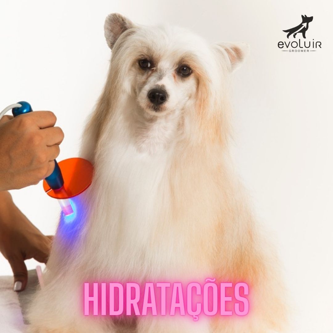 Módulo de Hidratações – Evoluir Groomer