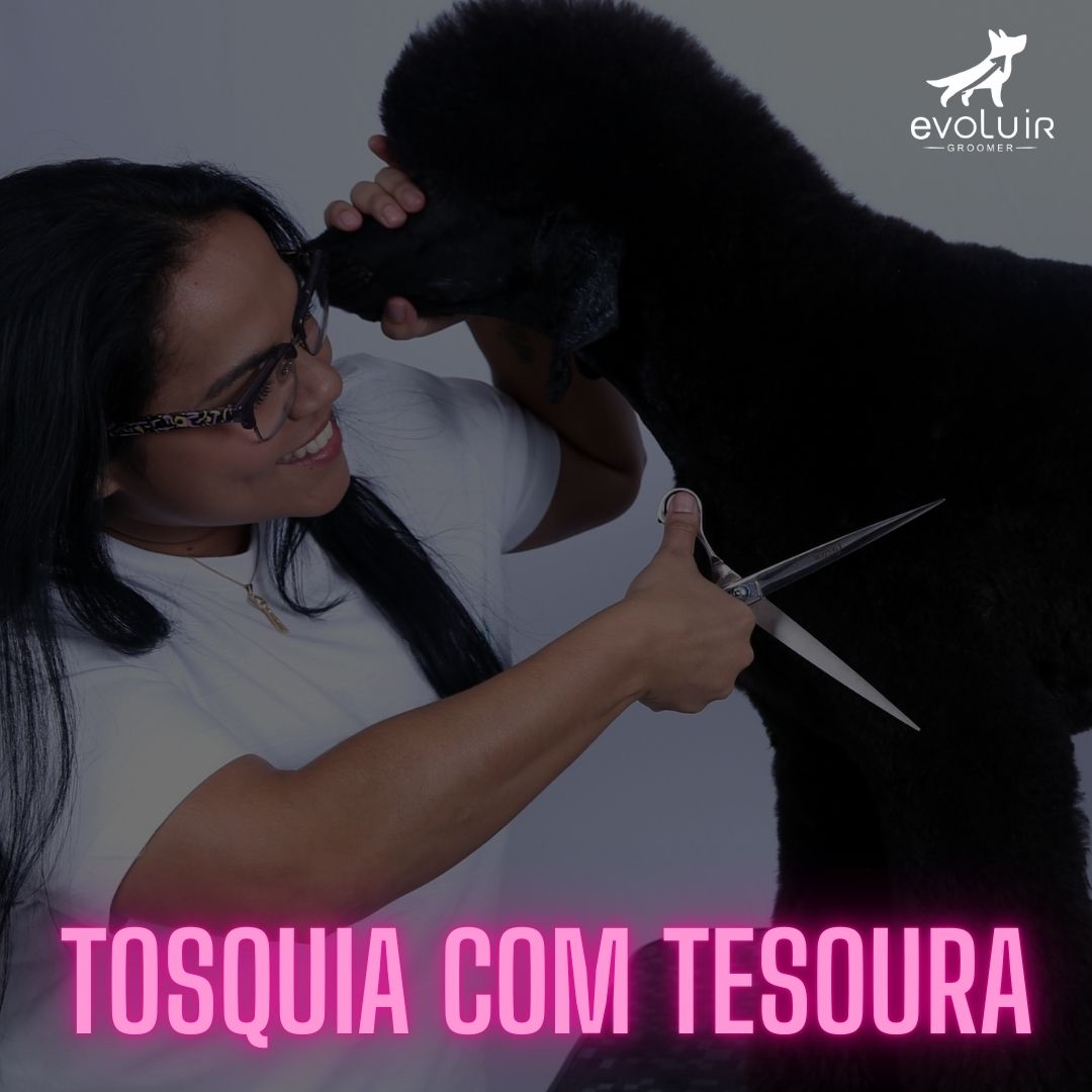 Módulo Tosquia com Tesoura - Evoluir Groomer