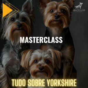 Módulo MasterClass - Tudo para Yorkshire